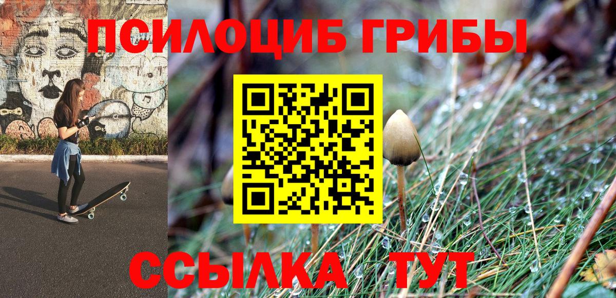 купить закладку  Вход с VPN  Воронеж  Псилоцибиновые грибы GOLDEN TEACHER  Псилоцибиновые грибы мицелий 